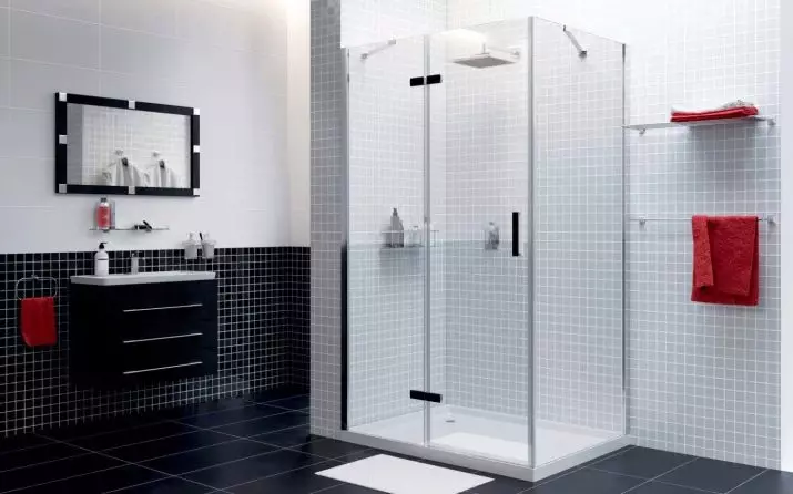 WasserKraft shower corners: model mei pallet en oare douche hoeken. Funksjes en tips op te kiezen 21392_6