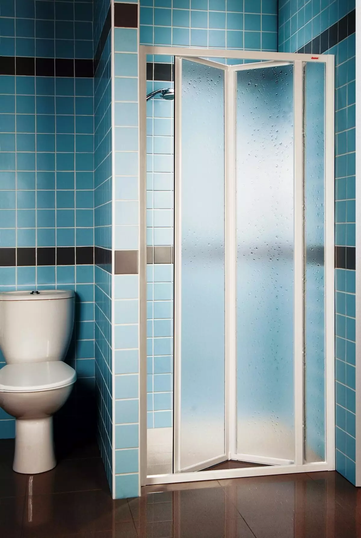 淋浴门和拉夫克栅栏：分区概述，优点和缺点。如何选择？ 21398_11