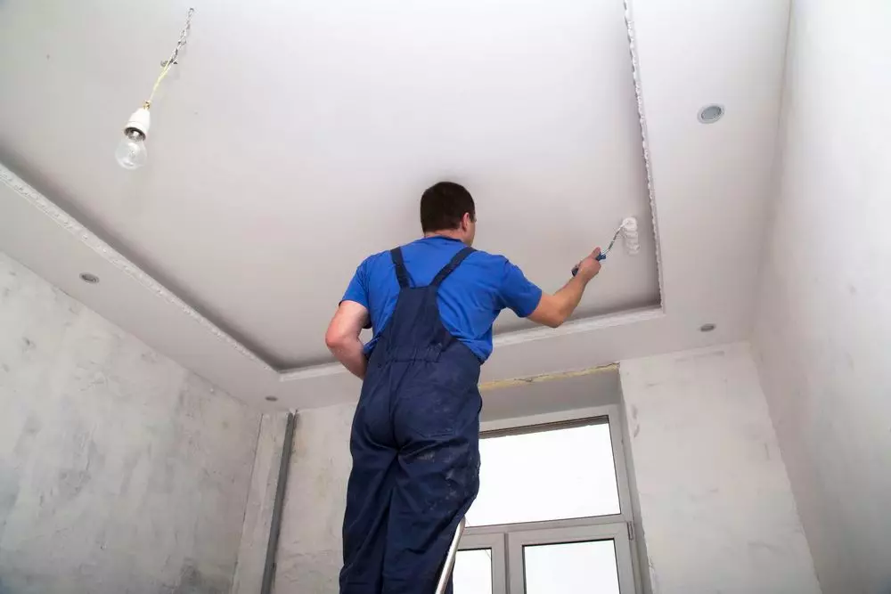 Ceiling ing Kamar Mandi Drywall (38 foto): Apa bisa nindakake suspensi plesterboard langit-langit ing kamar mandi? Pros lan konsep panggunaan 21417_18