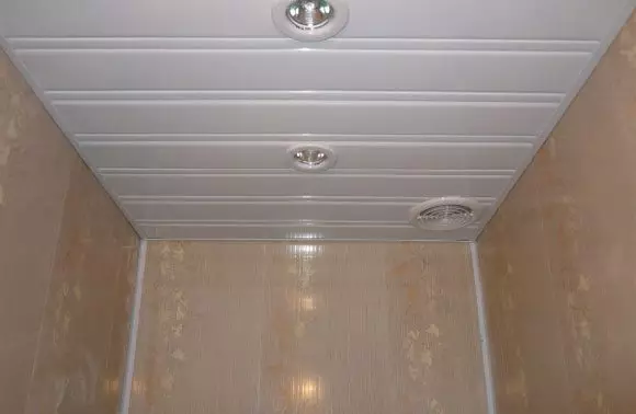 Langit-langit yang ditangguhkan di kamar mandi (53 foto): Dari panel plastik dan jenis langit-langit berengsel lainnya untuk kamar mandi. Contoh indah dengan bola lampu 21418_17