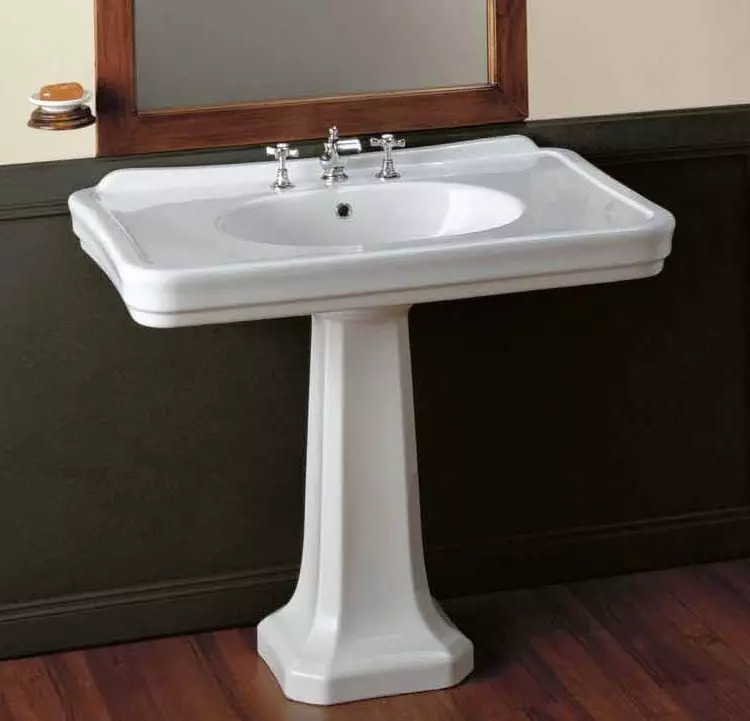 水槽“鬱金香”在浴室裡（62張照片）：用基座洗滌的特點，腿上的殼體尺寸 21433_10