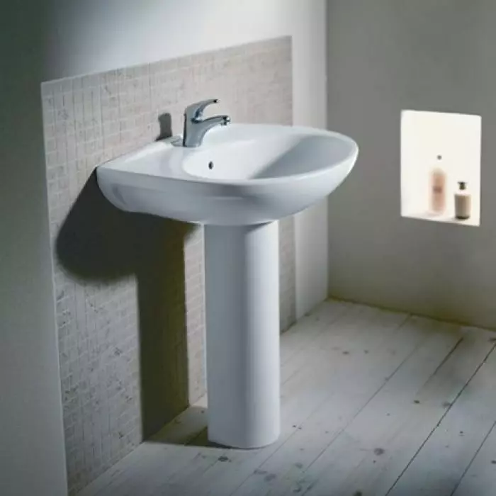 水槽“鬱金香”在浴室裡（62張照片）：用基座洗滌的特點，腿上的殼體尺寸 21433_11