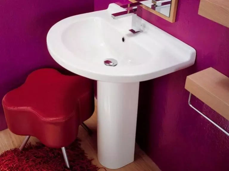 水槽“鬱金香”在浴室裡（62張照片）：用基座洗滌的特點，腿上的殼體尺寸 21433_12