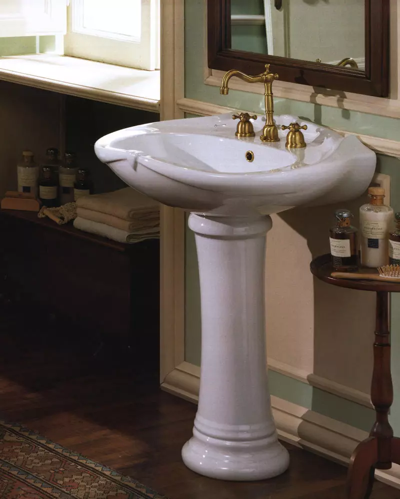 水槽“鬱金香”在浴室裡（62張照片）：用基座洗滌的特點，腿上的殼體尺寸 21433_16