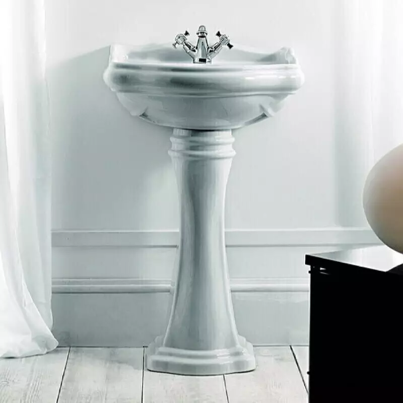 水槽“鬱金香”在浴室裡（62張照片）：用基座洗滌的特點，腿上的殼體尺寸 21433_17