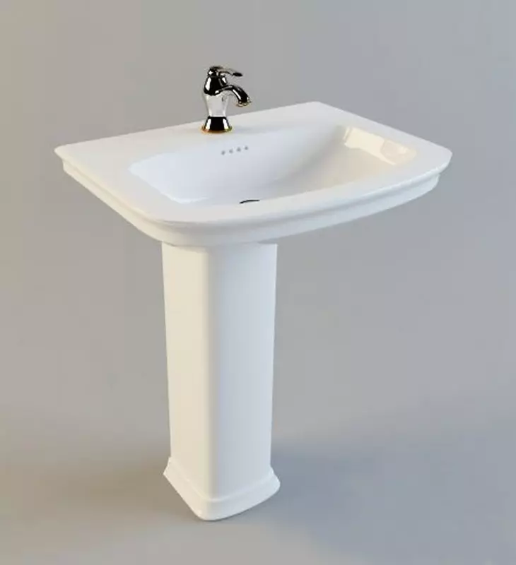 水槽“鬱金香”在浴室裡（62張照片）：用基座洗滌的特點，腿上的殼體尺寸 21433_21