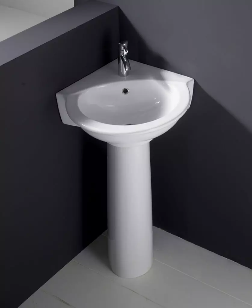 水槽“鬱金香”在浴室裡（62張照片）：用基座洗滌的特點，腿上的殼體尺寸 21433_27
