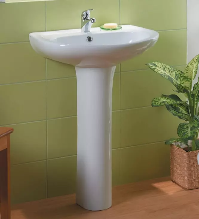 水槽“鬱金香”在浴室裡（62張照片）：用基座洗滌的特點，腿上的殼體尺寸 21433_29