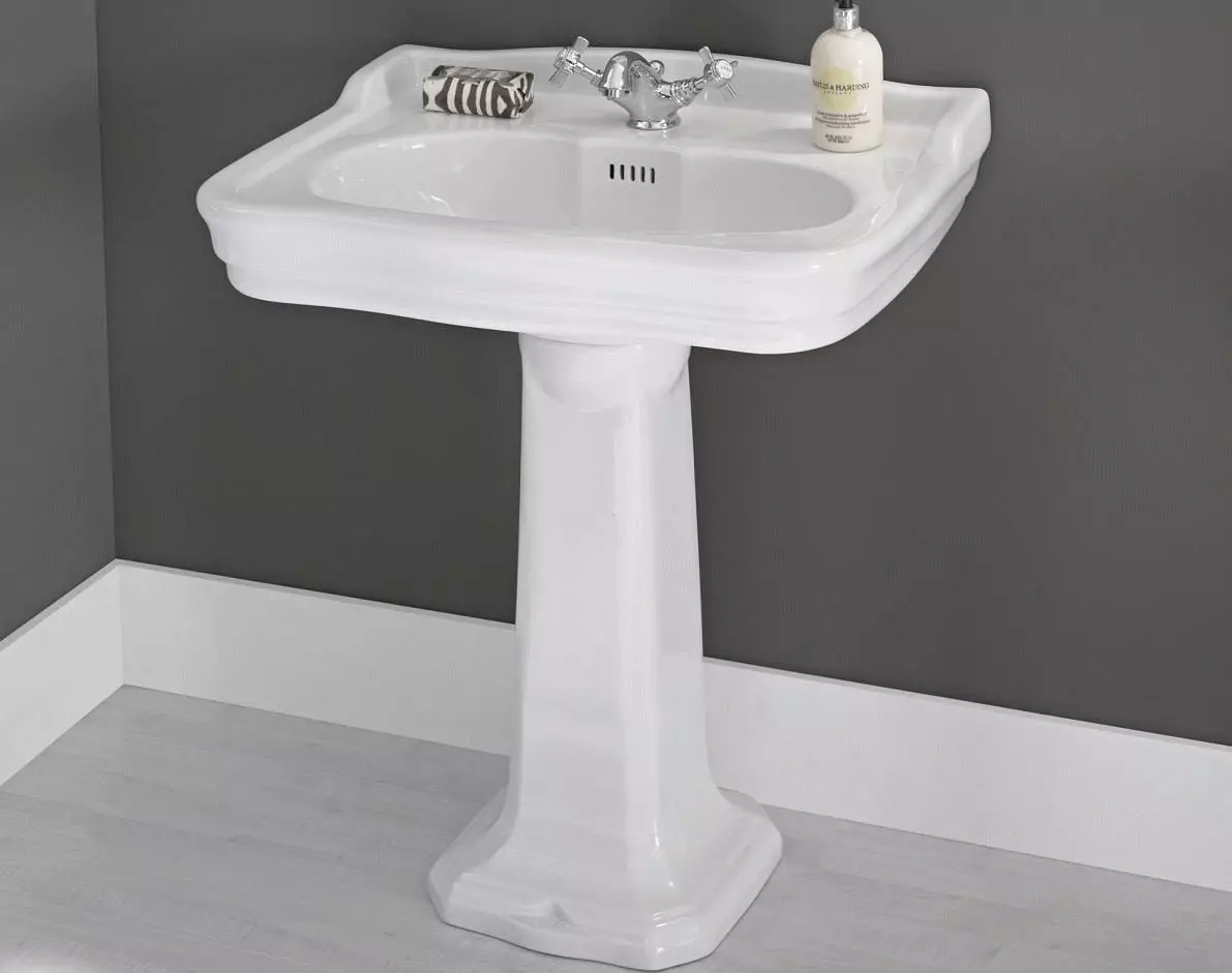 水槽“鬱金香”在浴室裡（62張照片）：用基座洗滌的特點，腿上的殼體尺寸 21433_40
