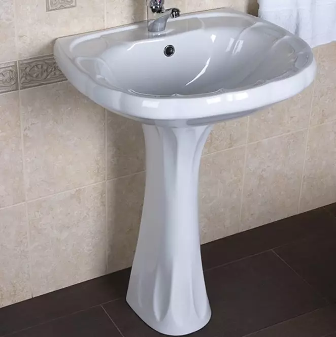水槽“鬱金香”在浴室裡（62張照片）：用基座洗滌的特點，腿上的殼體尺寸 21433_45