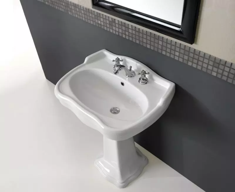 水槽“鬱金香”在浴室裡（62張照片）：用基座洗滌的特點，腿上的殼體尺寸 21433_46