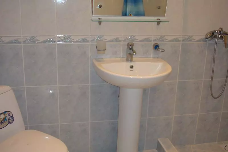 水槽“鬱金香”在浴室裡（62張照片）：用基座洗滌的特點，腿上的殼體尺寸 21433_49