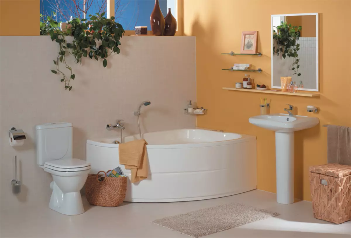 水槽“鬱金香”在浴室裡（62張照片）：用基座洗滌的特點，腿上的殼體尺寸 21433_52