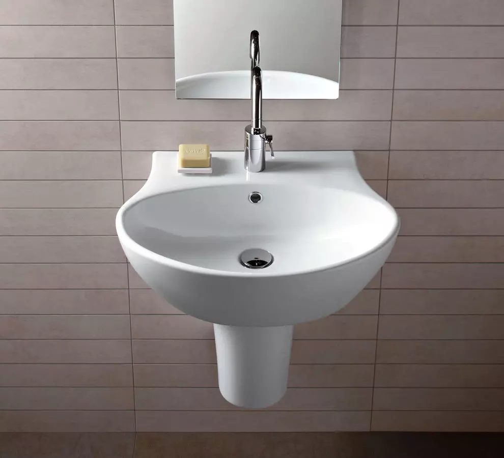 水槽“鬱金香”在浴室裡（62張照片）：用基座洗滌的特點，腿上的殼體尺寸 21433_55