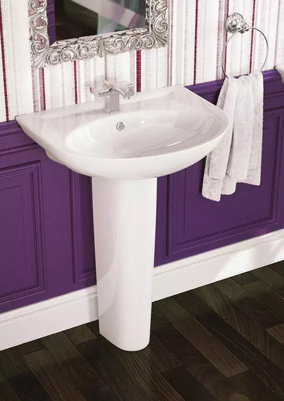 水槽“鬱金香”在浴室裡（62張照片）：用基座洗滌的特點，腿上的殼體尺寸 21433_57