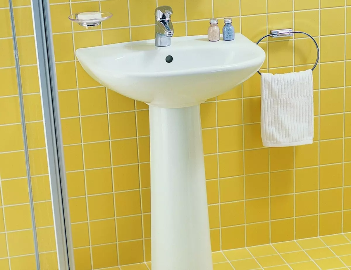 水槽“鬱金香”在浴室裡（62張照片）：用基座洗滌的特點，腿上的殼體尺寸 21433_58
