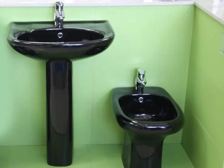 水槽“鬱金香”在浴室裡（62張照片）：用基座洗滌的特點，腿上的殼體尺寸 21433_59