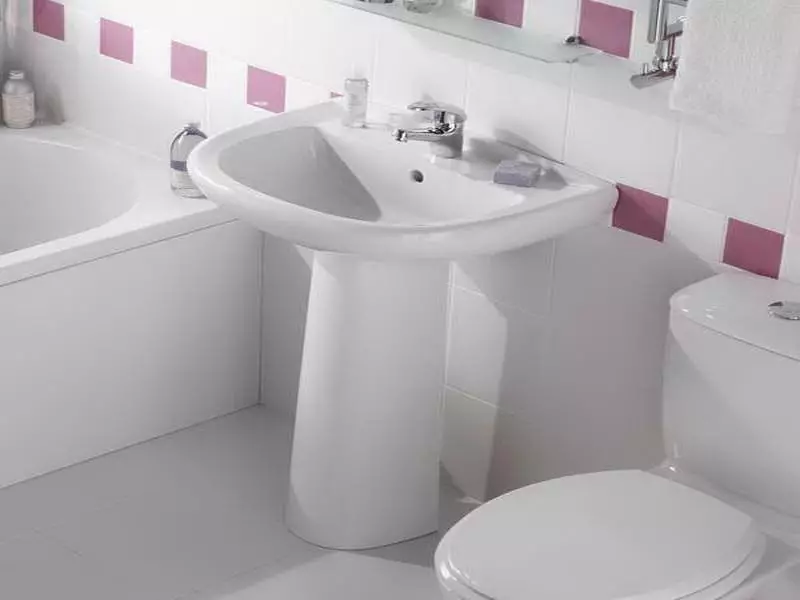 水槽“鬱金香”在浴室裡（62張照片）：用基座洗滌的特點，腿上的殼體尺寸 21433_9