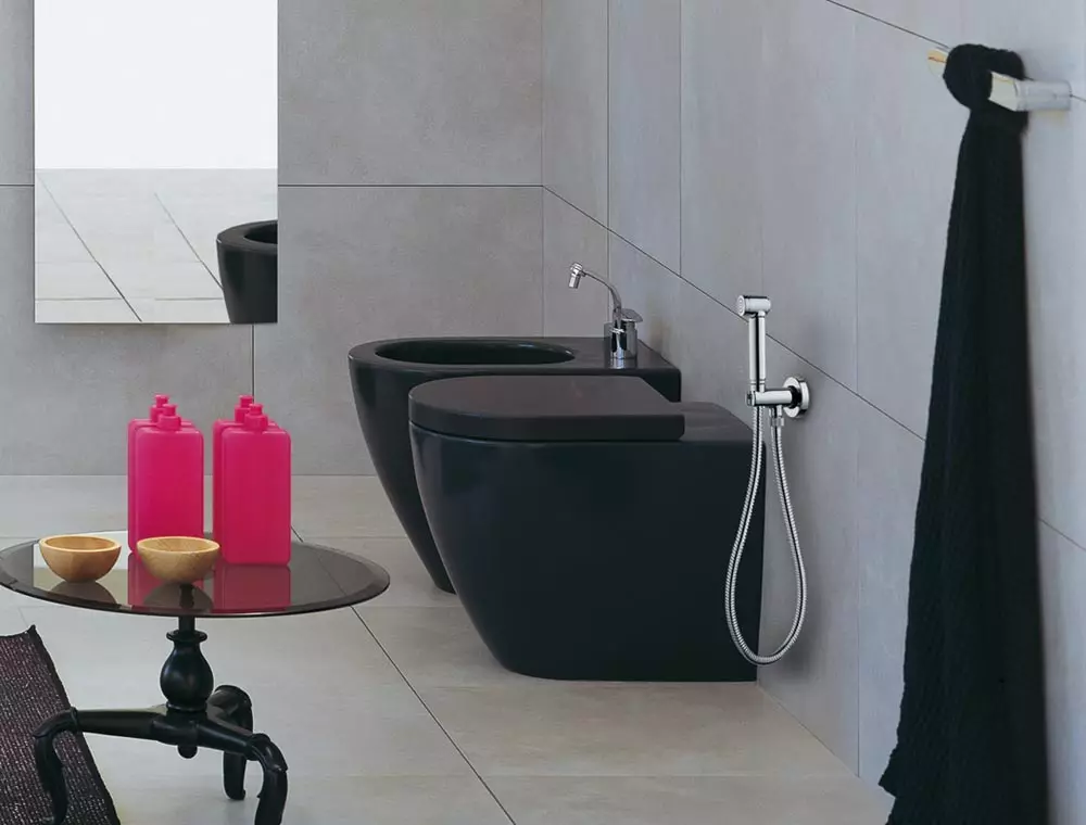 Hangrohe gigienik dush: ichki mikser va sug'orish mumkin bo'lgan ruhlar, boshqa modellar. Hojatxona uchun to'plamlarni tanlash 21447_12