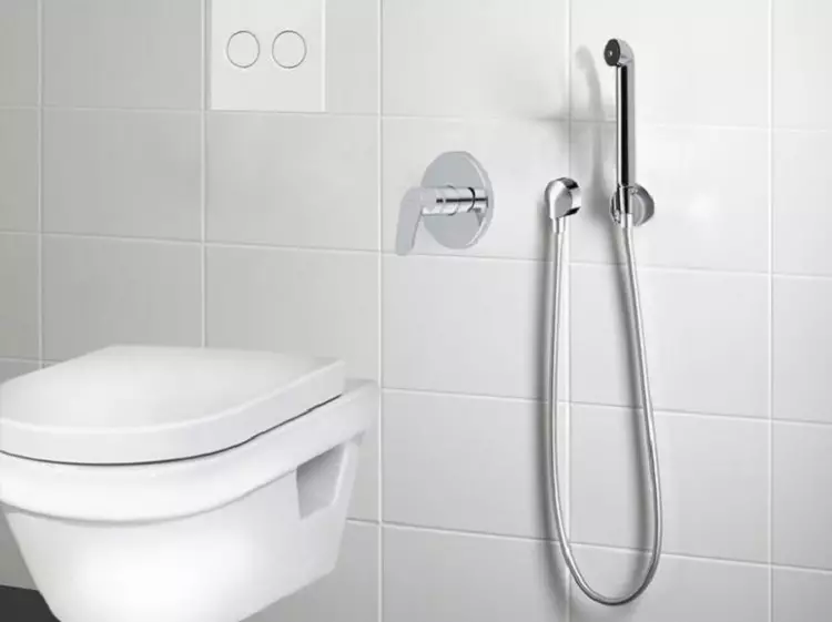 Hansgrohe Shower Hiangie: Souls dengan pengadun dalaman dan penyiraman boleh, model lain. Pemilihan set untuk tandas 21447_2