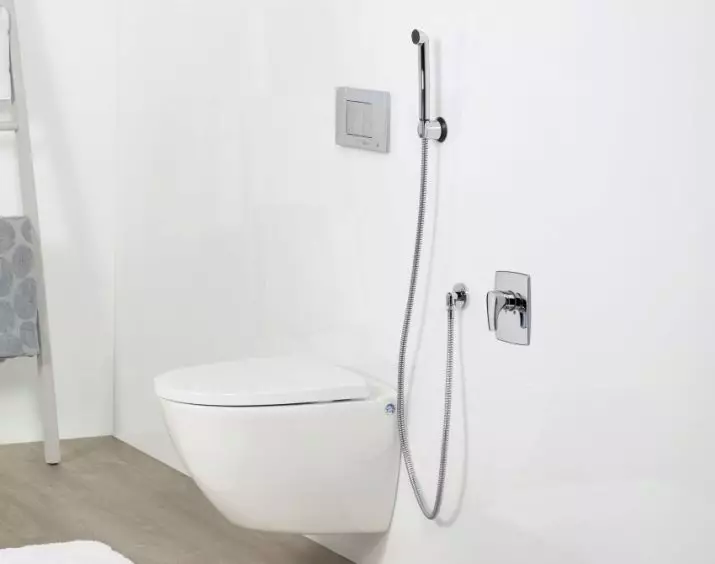 Hansgrohe Hygienic Doccia: anime con un mixer interno e annaffiatoio, altri modelli. Selezione di set per servizi igienici 21447_21