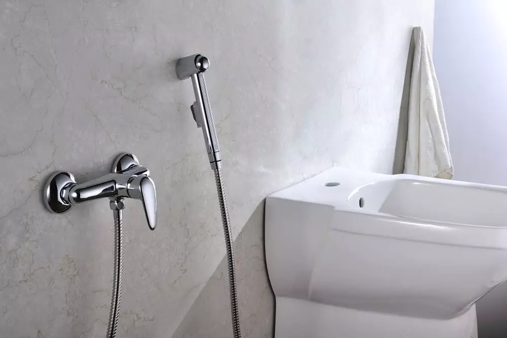 Hansgrohe huv si da dej: Plig nrog kev sib xyaw sab hauv thiab dej tuaj yeem, lwm cov qauv. Xaiv kev xaiv rau chav dej 21447_24