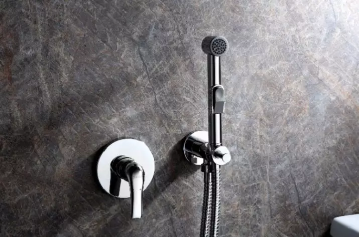 Hansgrohe Hijyenik Duş: İç karıştırıcı ve sulama olabilir, diğer modeller olan ruhlar. Tuvalet için set seçimi 21447_8