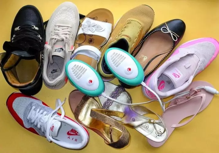 Sähköiset kuivaimet kengille: Kuinka käyttää sähkövoimaa? Kuinka valita ulkoinen metalli tai muu kuivaus? Arvostelut 21503_18