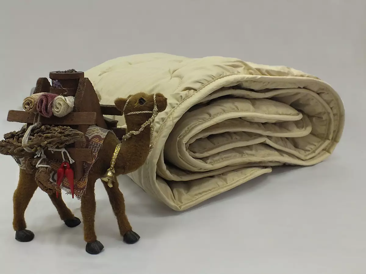 Blankets saka camel wol (57 foto): Clamat lan kerugian kemul saka unta fluff. Apa sing luwih apik, Winner utawa Camel? Mongolia lan Produsen liyane. Ulasan 21531_14