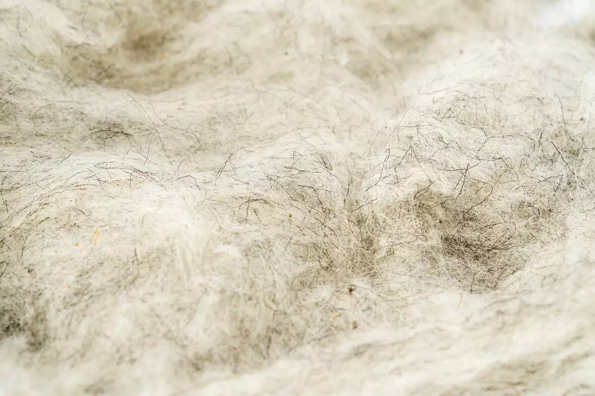 Chăn len: Có thể rửa trong máy giặt? Chăn len Alpaca, Yak, Lamas và Dê, quilted và mở. Ưu điểm và nhược điểm 21546_16