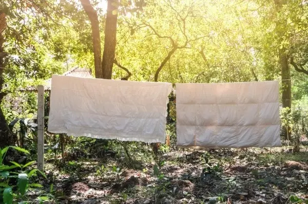 Πώς να πλύνετε την κουβέρτα του βαμβακιού σας; Πλύσιμο κουβέρτες στο σπίτι σε ένα πλυντήριο και χειροκίνητα 21550_17