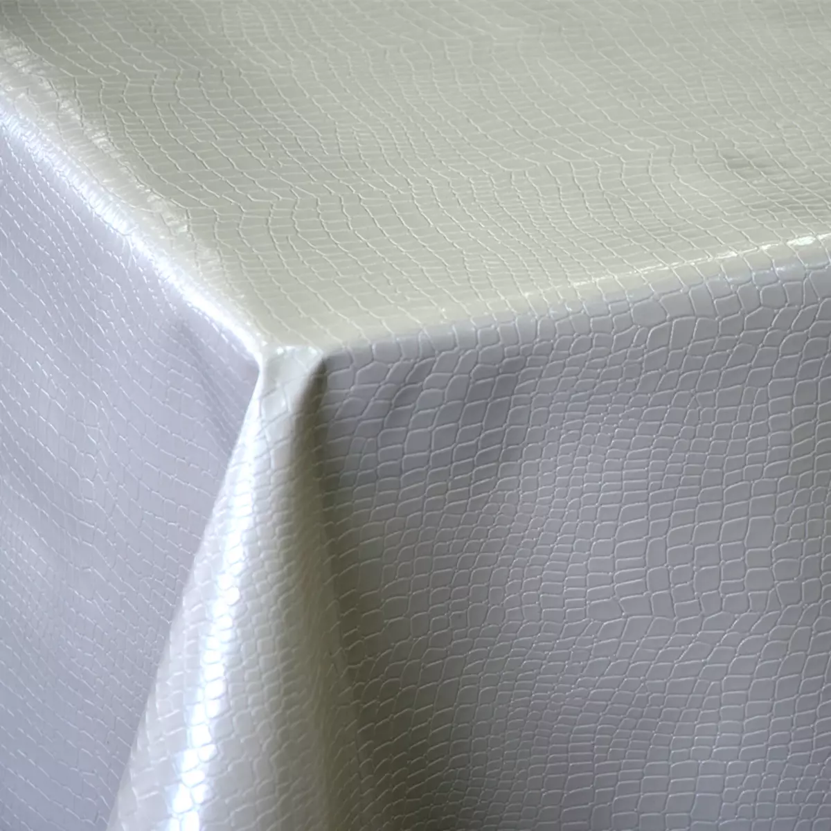 基於組織的油布：來自德國和PVC膠水的粘性屑桌布來自意大利的織物，廚房的其他選擇 21592_14