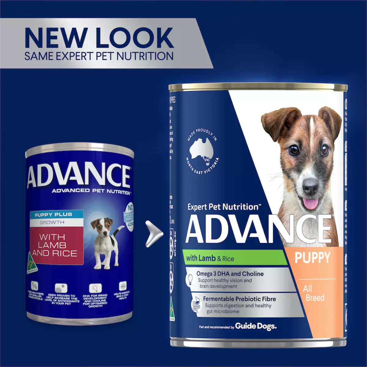 Feed Advance: A száraz takarmány összetétele, az ország gyártója és jellemzői. Takarmány sterilizált macskákhoz, mini felnőtt kutyák és mások számára. Vélemény 21638_16