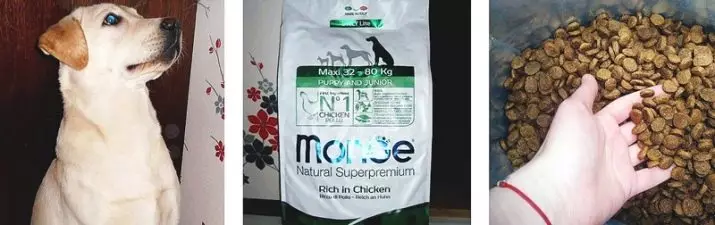 Monge Pes Feed: Zloženie konzervovaných potravín (mokré psie) a suché krmivá, pakety 12-15 kg. Posolový krém s jahňacím psom Bwild Obilie zadarmo a ďalšie produkty, recenzie 21642_31