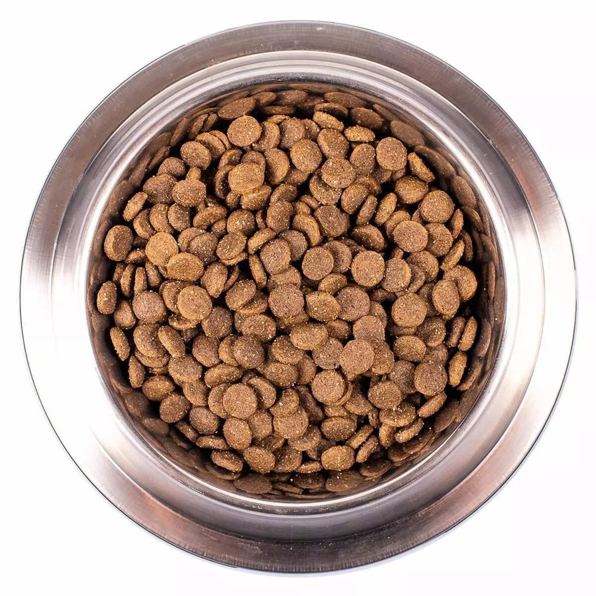 MONGE تغذية الكلب: تكوين الأغذية المعلبة (الرطب تغذية الكلب) والأعلاف الجافة، والحزم من 12-15 كجم. تغذية الرسول مع خروف الكلب Bwild الحبوب الحرة وغيرها من المنتجات والتعليقات 21642_7