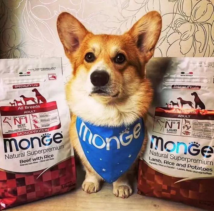 Monge Pes Feed: Zloženie konzervovaných potravín (mokré psie) a suché krmivá, pakety 12-15 kg. Posolový krém s jahňacím psom Bwild Obilie zadarmo a ďalšie produkty, recenzie 21642_8