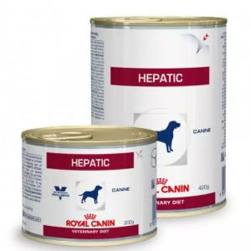 Alimentos úmidos para cães Royal Canin: comida enlatada, frango e aranhas com alimentos líquidos, recuperação e outros produtos, composição 21644_11