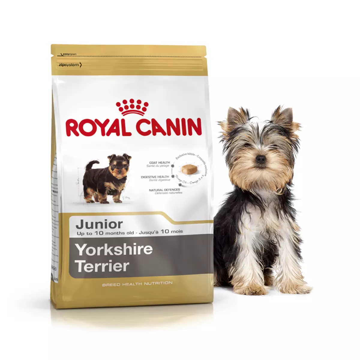 Krmivo Royal Canin pre Yorkshire Teriér: Pre šteniatka a dospelých psov, suché a mokré potraviny, ich zloženie. Nuance of kŕmenie 21645_5