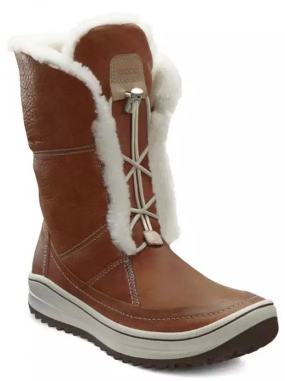 冬季女士靴ECCO（43張照片）：秋季和冬季時尚型號 2177_10