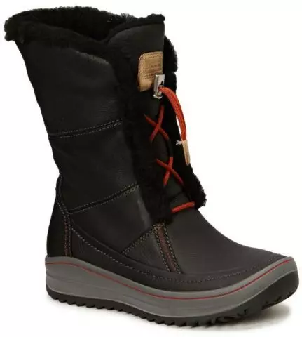 冬季女士靴ECCO（43張照片）：秋季和冬季時尚型號 2177_22