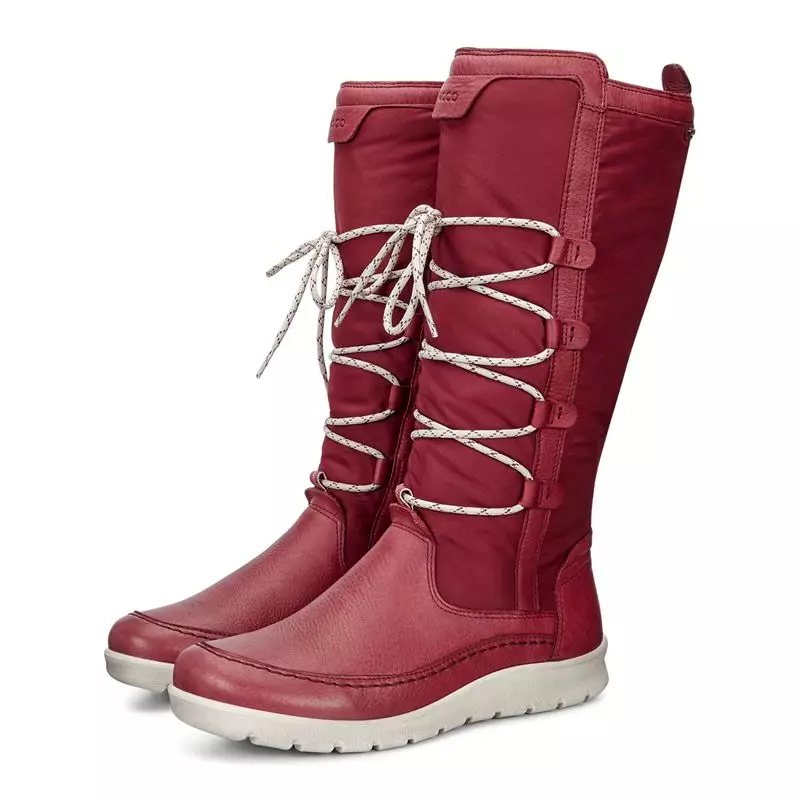 冬季女士靴ECCO（43張照片）：秋季和冬季時尚型號 2177_34