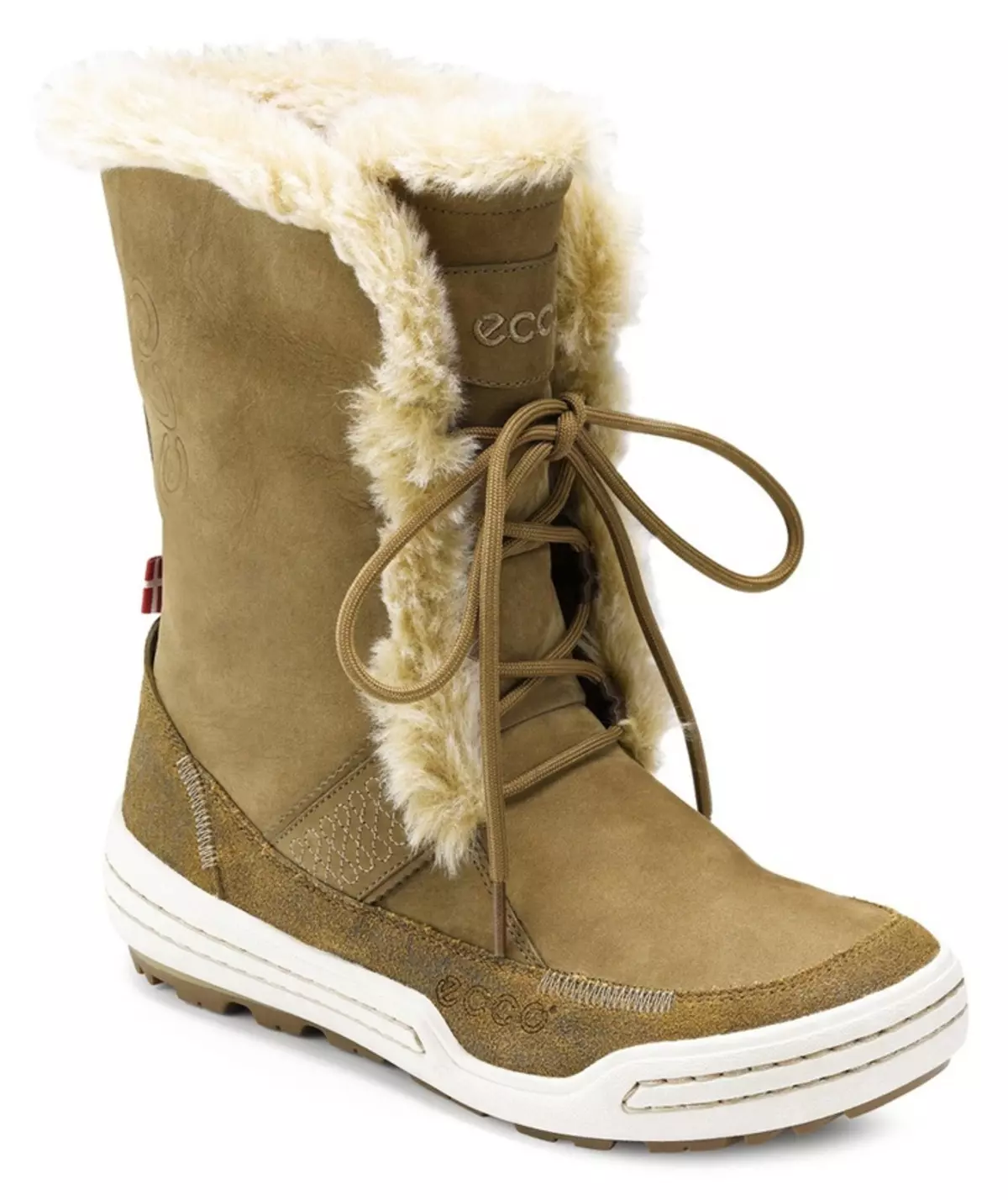 冬季女士靴ECCO（43張照片）：秋季和冬季時尚型號 2177_9