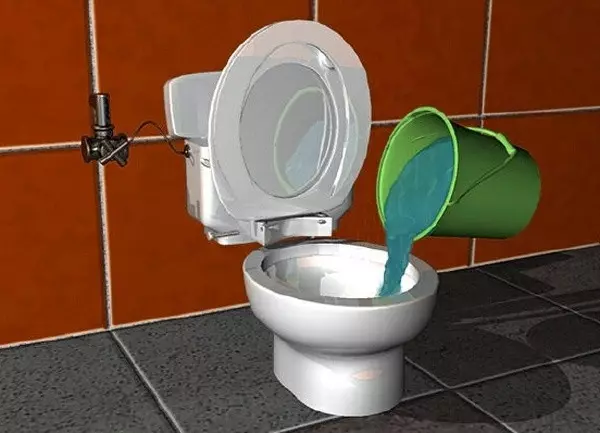 Како да го исчистите тоалетот? 50 слики како дома сами елиминирање на зум, брзи и ефикасни начини за чистење на мозоци 21798_14