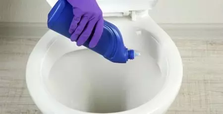 Hvordan rengjør toalettet? 50 bilder som hjemme selv eliminere zoom, raske og effektive måter å rense avløpet på 21798_22