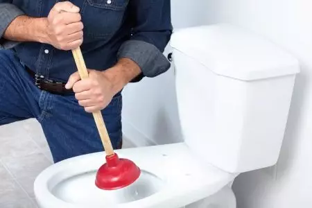 Како да го исчистите тоалетот? 50 слики како дома сами елиминирање на зум, брзи и ефикасни начини за чистење на мозоци 21798_3