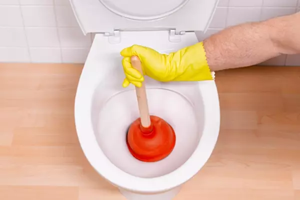 Hvordan rengjør toalettet? 50 bilder som hjemme selv eliminere zoom, raske og effektive måter å rense avløpet på 21798_38