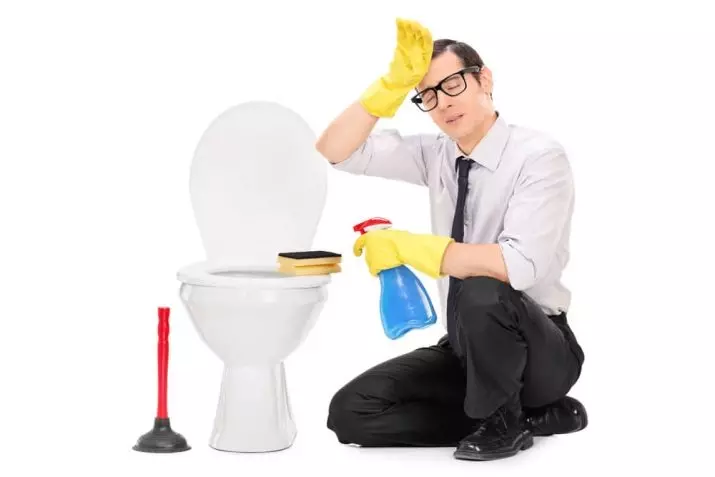 Hvordan rengjør toalettet? 50 bilder som hjemme selv eliminere zoom, raske og effektive måter å rense avløpet på 21798_46