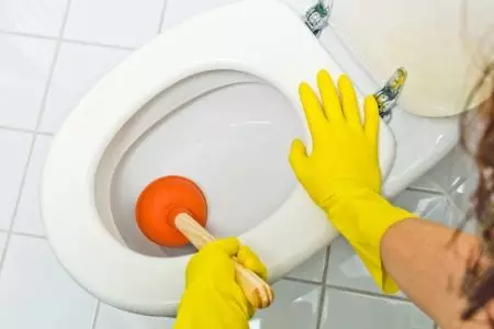 Wie reinige ich die Toilette? 50 Fotos, wie zu Hause selbst Zoom, schnelle und effiziente Wege, um den Abfluss zu reinigen 21798_8