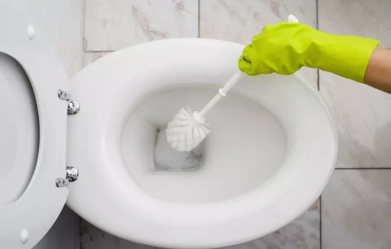 چگونه برای تمیز کردن توالت؟ 24 عکس چگونه و چه چیزی برای شستن مخزن تخلیه از داخل، به عنوان در خانه تا از انسداد خلاص، تا آنجا که موثر در مبارزه با فروپاشی کوکا کولا 21799_11