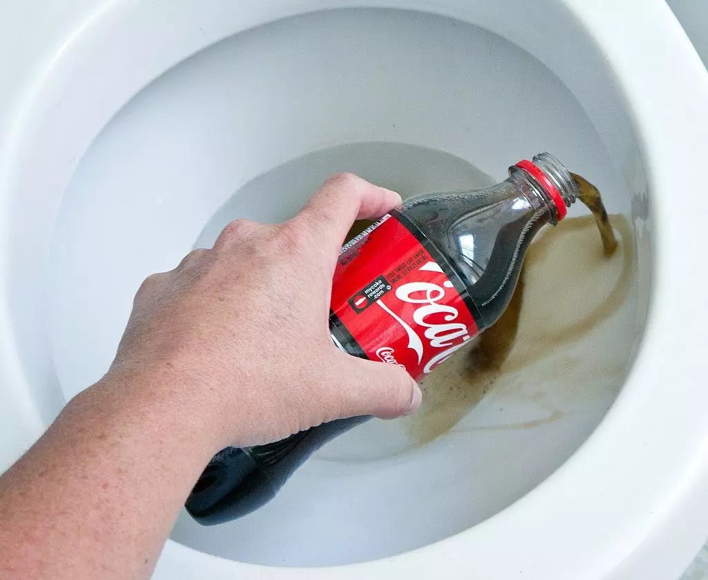 Si të pastroni tualetin? 24 Photos Si dhe çfarë të lani rezervuarin e kullimit nga brenda, si në shtëpi për të hequr qafe bllokimin, aq sa është efektive në luftën kundër kolapsit të Coca-Cola 21799_12